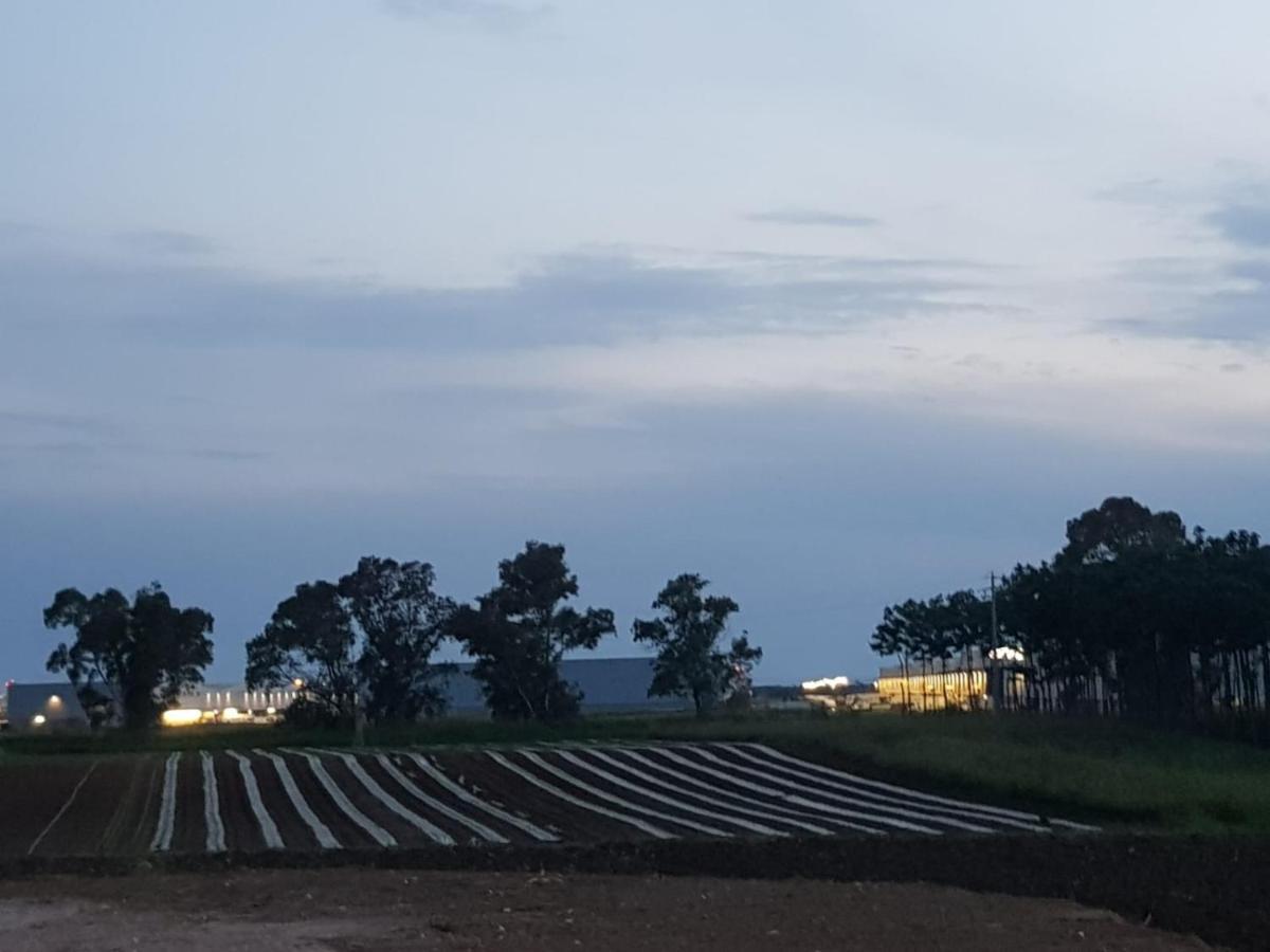 Agriturismo Il Casale Ponte Galeria Kültér fotó